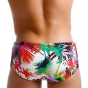 Maillots de bain pour hommes A3103 4