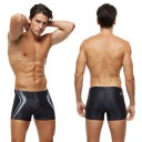Maillots de bain pour hommes F1001 3