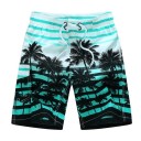 Maillots de bain pour hommes F1002 7