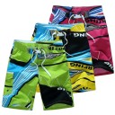 Maillots de bain pour hommes F1002 1