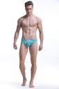 Maillots de bain pour hommes F1009 4