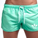 Maillots de bain pour hommes F1010 12