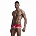 Maillots de bain pour hommes F899 2