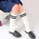 Manchons de jambes à rayures 2