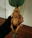 Mandragora havedekoration 3