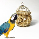 Mangeoire suspendue pour oiseaux C775 2