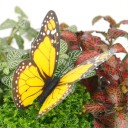 Mariposa troquelada decorativa 24 uds. 6
