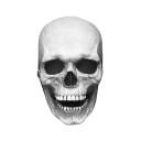 Máscara de calavera de Halloween 6