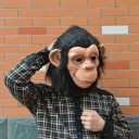 Maschera di Halloween H1121 2