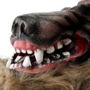 Masque d'Halloween loup-garou 5