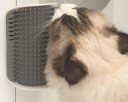 Massageborstel voor katten 3