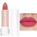Matte Lipstick with Waterproof Long-Lasting Effect 11