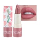 Matte Waterproof Lipstick Long-Lasting Lip Stick 3