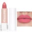 Matter Lippenstift mit wasserfestem Langzeiteffekt. Lippen-Make-up. Wasserfeste Kosmetik 14