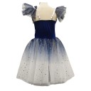 Meisjes balletjurk met romantische tule rok, fluwelen lijfje met kant, polyester, blauw-zilver, kostuum voor ballet en optredens 2