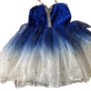 Meisjes balletjurk met romantische tule rok, fluwelen lijfje met kant, polyester, blauw-zilver, kostuum voor ballet en optredens 4