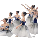 Meisjes balletjurk met romantische tule rok, fluwelen lijfje met kant, polyester, blauw-zilver, kostuum voor ballet en optredens 5