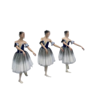 Meisjes balletjurk met romantische tule rok, fluwelen lijfje met kant, polyester, blauw-zilver, kostuum voor ballet en optredens 6