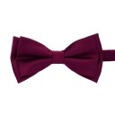 Men's Bow Tie T1272 14