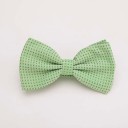 Men's Bow Tie T1300 3
