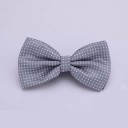 Men's Bow Tie T1300 15