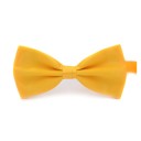 Men's Fashion Bow Tie J3523 8
