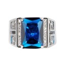 Men's Ring D1479 1