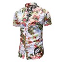 Men's Shirt F733 6