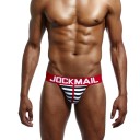 Men's Striped Briefs 8