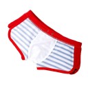 Men's Striped Swim Shorts F956 6