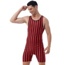Men's Striped Swimwear F1013 5