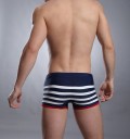 Men's Striped Swimwear 6