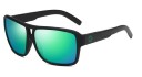 Men's Sunglasses E2148 8