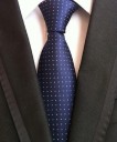 Men's Tie T1200 31