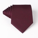 Men's Tie T1203 22