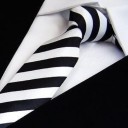 Men's Tie T1208 14