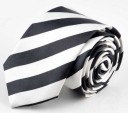 Men's Tie T1241 4