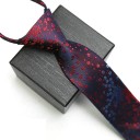 Men's Tie T1277 17