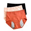 Menstrual Briefs Z215 14