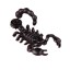 Męskie kolczyki skorpion J2162 2