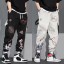 Męskie spodnie dresowe hip hop F1455 1