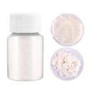 Metallic Powder for Resin 10 g 10