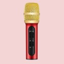 Microphone à main avec accessoires 3