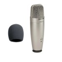 Microphone avec protection contre le vent 3