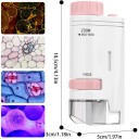 Microscope de poche pour enfants avec un grossissement de 60–200x et éclairage LED, rose ou bleu 3