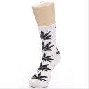 Miesten sukat, joissa on marihuana-aihe 4