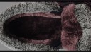 Miesten talvikengät George J1538 4