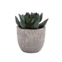 Mini aloe artificial em vaso Planta bonsai falsa Árvore simulada Decoração de mesa Decoração de escritório doméstico e jardim 1