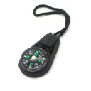 Mini Compass 1