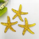 Mini décoration étoile de mer 10 pcs 6